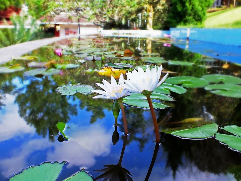 Royal Kalaw Hills Resort Exteriör bild